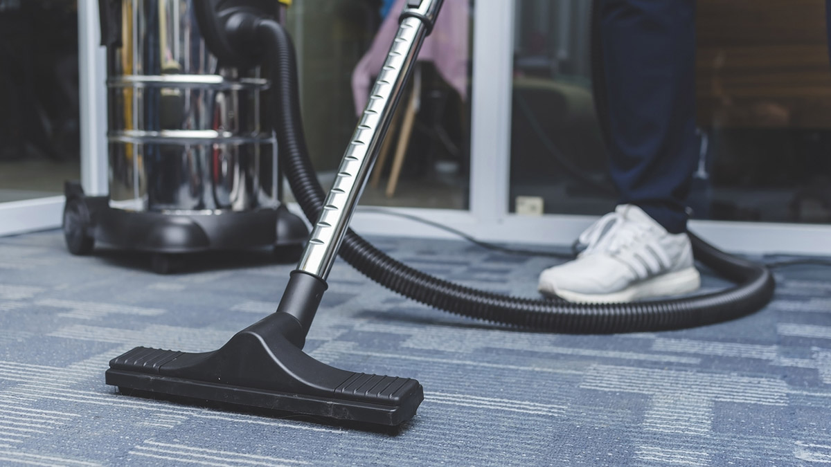 DIY vs Professional Carpet Cleaning: Pros and Cons