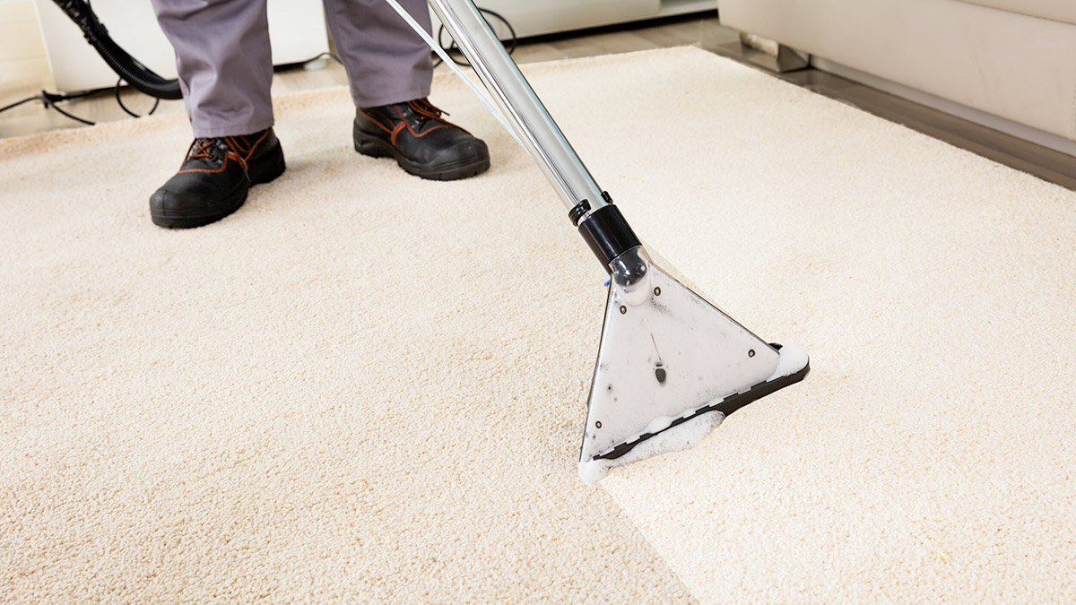 Reasons To Have Carpets Cleaned Regularly