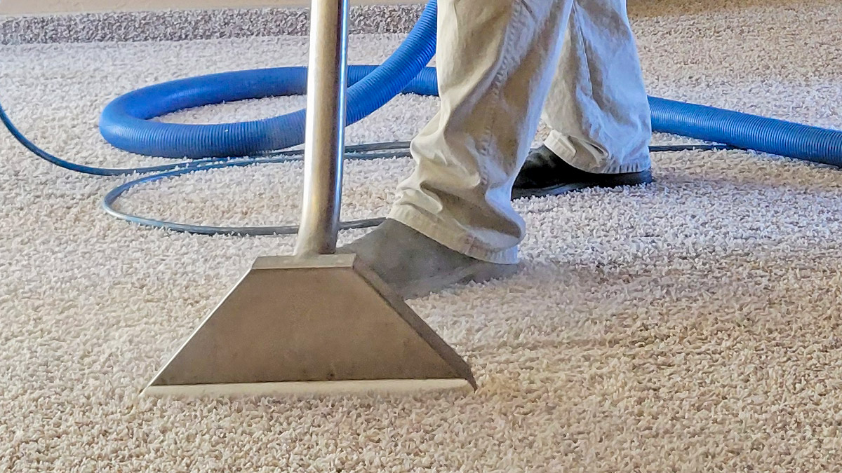 Why Steam Carpet Cleaning Is The Best