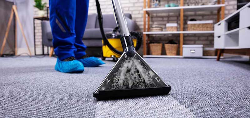 Bozeman Best Carpet Cleaning Services Cheap