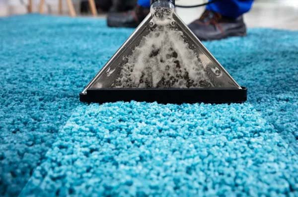 Bozeman Best Carpet Cleaning Services professional